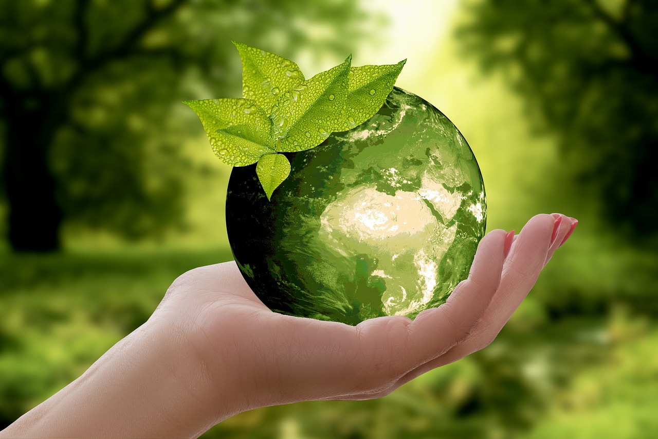 Sustainable Actions for All